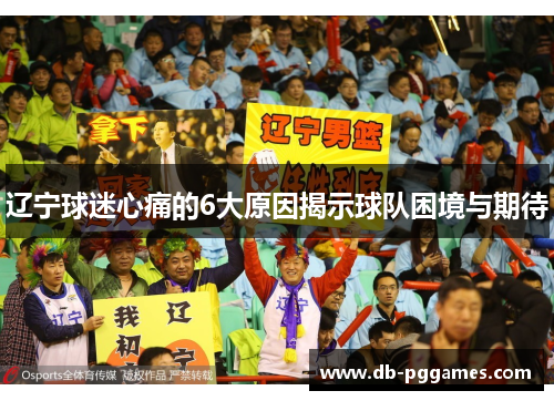 辽宁球迷心痛的6大原因揭示球队困境与期待