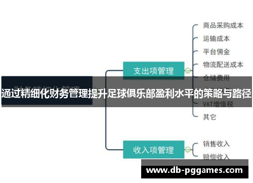 通过精细化财务管理提升足球俱乐部盈利水平的策略与路径