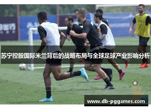 苏宁控股国际米兰背后的战略布局与全球足球产业影响分析