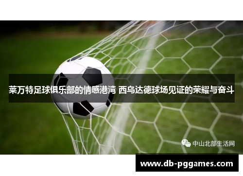 莱万特足球俱乐部的情感港湾 西乌达德球场见证的荣耀与奋斗