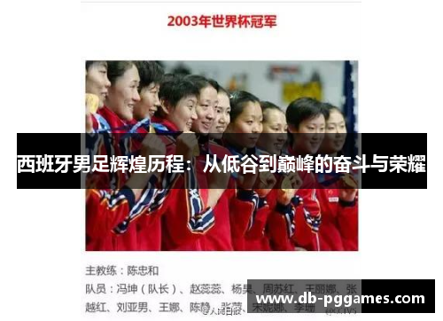 西班牙男足辉煌历程：从低谷到巅峰的奋斗与荣耀