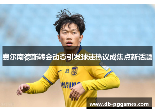 费尔南德斯转会动态引发球迷热议成焦点新话题 费尔南德斯转会动态引发球迷热议成焦点新话题