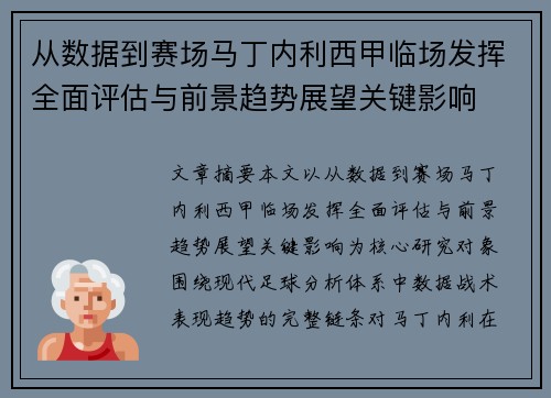 从数据到赛场马丁内利西甲临场发挥全面评估与前景趋势展望关键影响